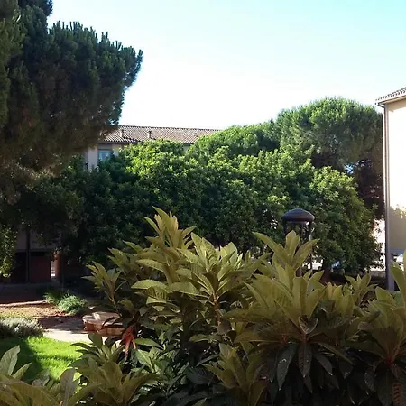 Maria Montis Assemini